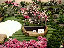 TN_01020069.JPG