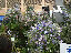 TN_01020070.JPG