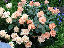 TN_01020071.JPG
