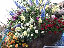 TN_01020072.JPG