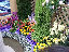 TN_01020073.JPG