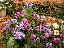 TN_01020020.JPG