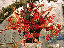 TN_01020075.JPG