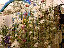 TN_01020076.JPG