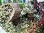 TN_01020081.JPG