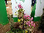 TN_01020085.JPG