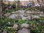 TN_01020088.JPG