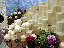 TN_01020090.JPG