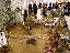 TN_01020091.JPG