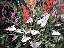 TN_01020023.JPG