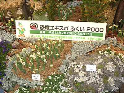 TN_01020064.JPG
