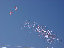 TN_01020008.JPG