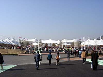 TN_01020003.JPG