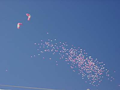 TN_01020008.JPG