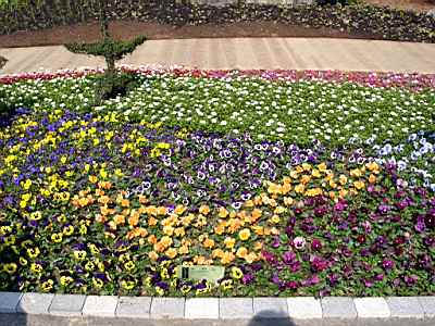 TN_01020135.JPG