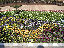 TN_01020135.JPG