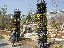 TN_01020131.JPG
