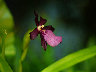Dscf1270.jpg