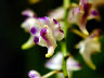 Dscf1272.jpg