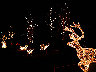 Dscf1302.jpg
