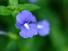 Dscf1254.jpg