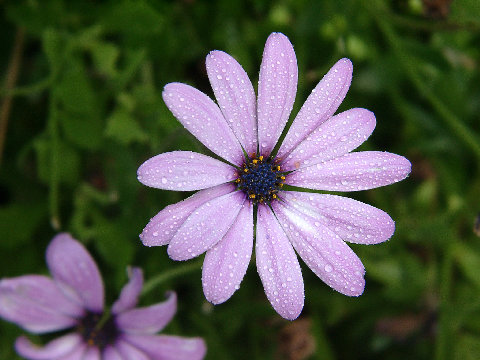 IXeIXy_I[sN.jpg