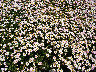 }[Kbg_T}[sN.jpg