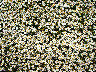 }[Kbg_VK[xCr[1.jpg