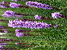 AgXEXsJ^.jpg