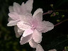 06060057.jpg