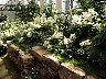 06060064.jpg