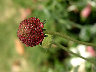 06060181.jpg