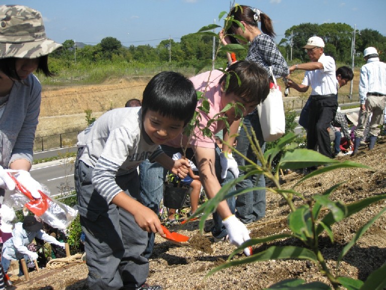 「ふるさとの森づくり」