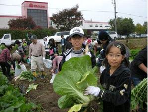 農園での収穫祭